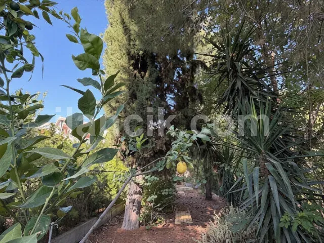 Satılık 3 Yatak Odalı İkiz Villa - Yukarı Girne, Girne - 10