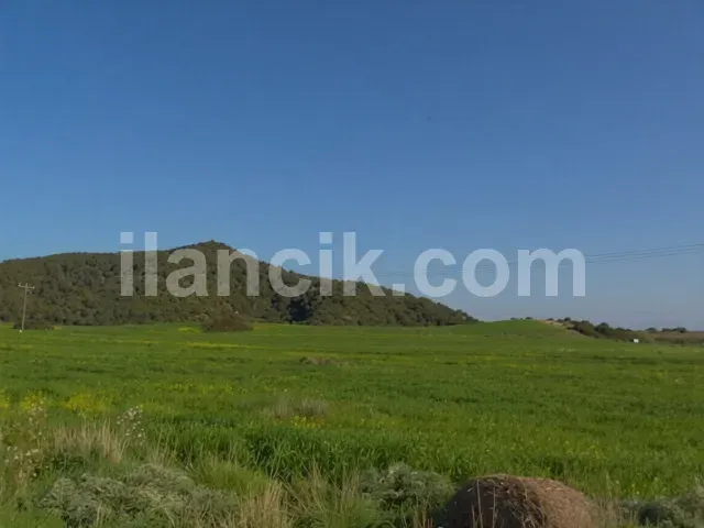 Dipkarpaz'da Satılık 11726 m² Konut İmarlı Arsa - 2