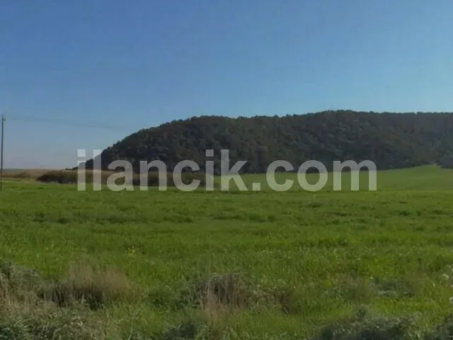 Dipkarpaz'da Satılık 11726 m² Konut İmarlı Arsa - 3