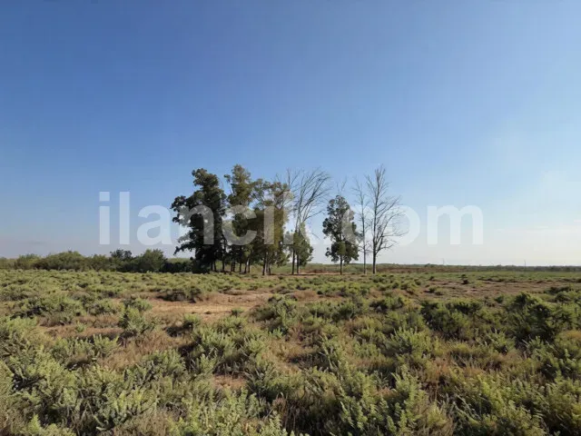 Satılık Konut İmarlı Arsa - Meriç, Lefkoşa - 13061 m²