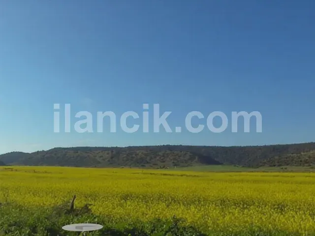 Dipkarpaz'da Satılık 11726 m² Konut İmarlı Arsa - 5