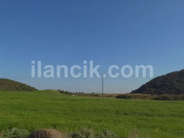 Dipkarpaz'da Satılık 11726 m² Konut İmarlı Arsa - 6