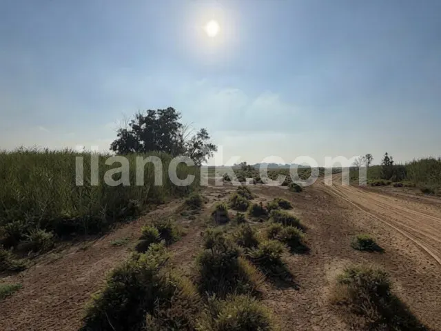 Satılık Konut İmarlı Arsa - Meriç, Lefkoşa - 13061 m² - 5