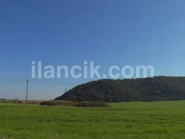Dipkarpaz'da Satılık 11726 m² Konut İmarlı Arsa - 9