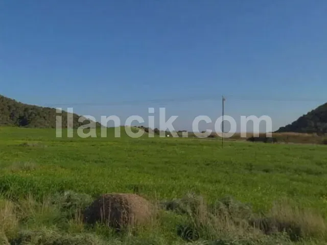 Dipkarpaz'da Satılık 11726 m² Konut İmarlı Arsa - 10