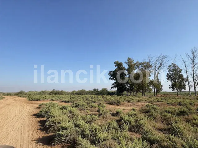 Satılık Konut İmarlı Arsa - Meriç, Lefkoşa - 13061 m² - 8