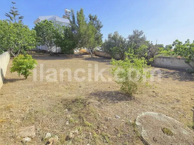 Satılık 3 Yatak Odalı Müstakil Villa - Bafra, İskele - 5