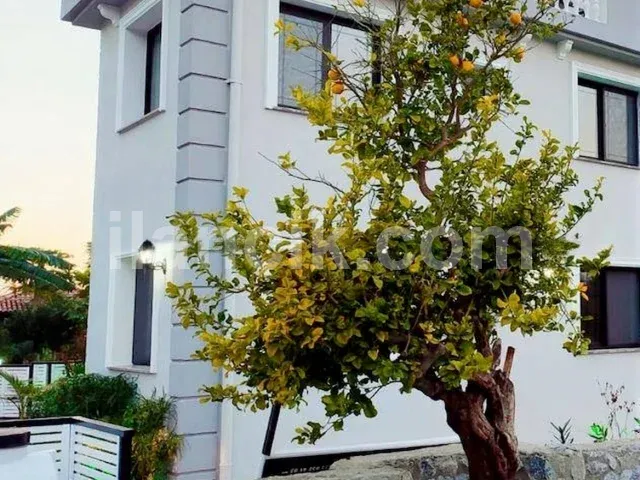 Lapta'da Satılık Havuz ve Bahçe İçinde 2 Yatak Odalı Daire - 4