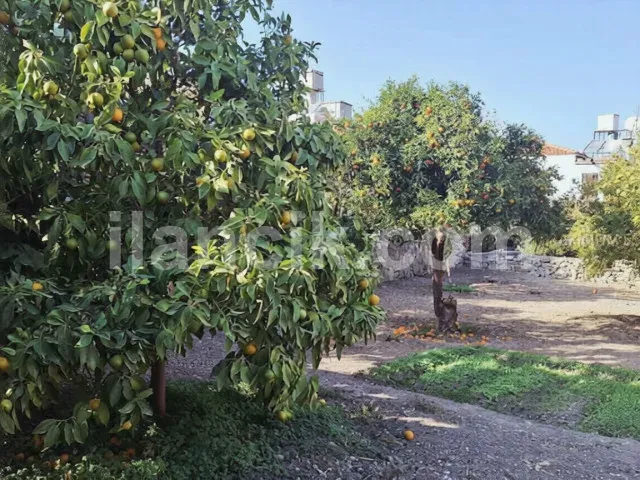 Alsancak'ta Satılık 3 Yatak Odalı Taş Ev - 665 m² Arsa - 7
