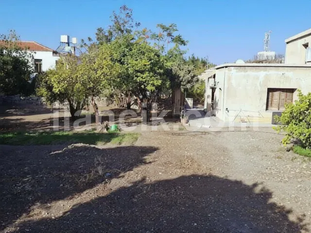 Alsancak'ta Satılık 3 Yatak Odalı Taş Ev - 665 m² Arsa - 14