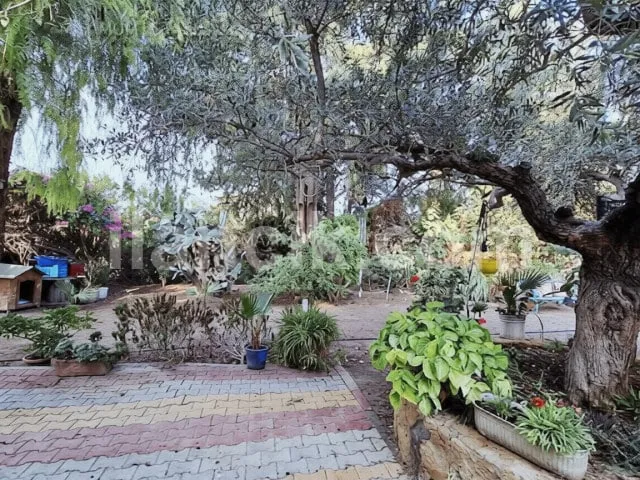 Satılık 5 Yatak Odalı Taş Villa – Zeytinlik, Girne - 9