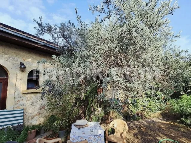 Satılık 5 Yatak Odalı Taş Villa – Zeytinlik, Girne - 11