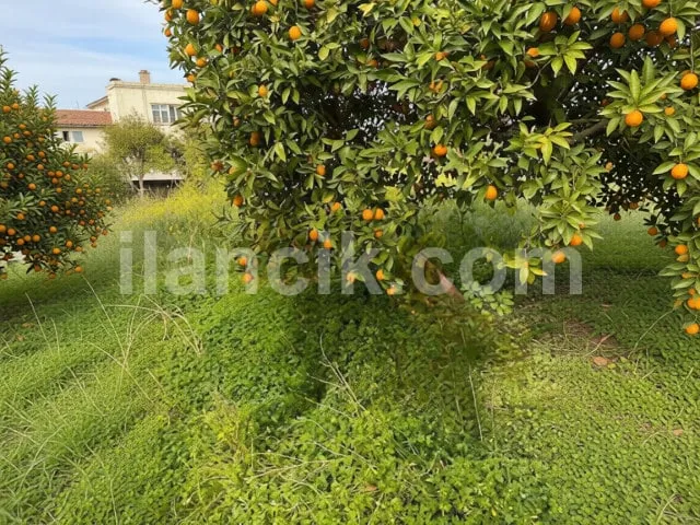 Satılık 2442 m² Konut İmarlı Arsa - Alsancak, Girne - 5