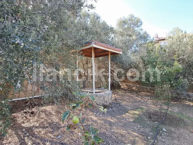Satılık 5 Yatak Odalı Villa - Karşıyaka, Girne - 12