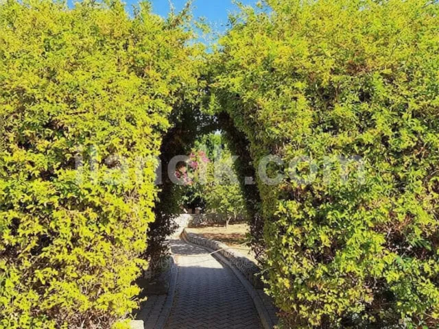 Satılık 5 Yatak Odalı Villa - Karşıyaka, Girne - 13