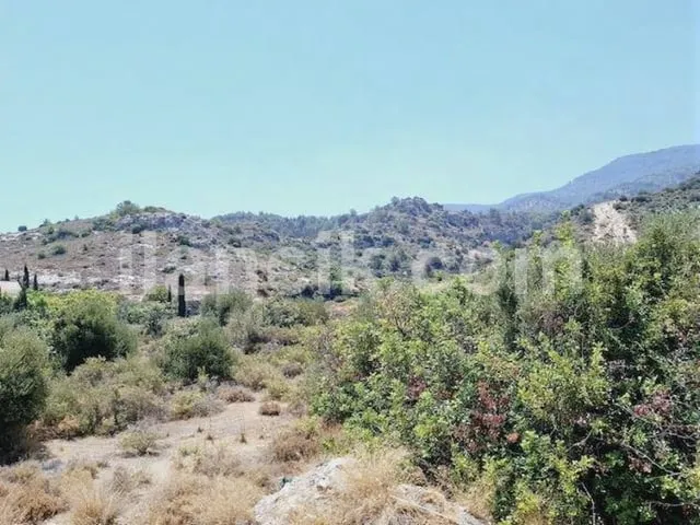 Satılık 3 Yatak Odalı Daire, Lapta Girne - Deniz Manzaralı - 17