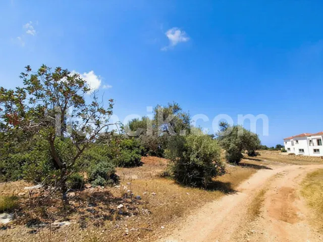Satılık Konut İmarlı Arsa - Arapköy, Girne - 15