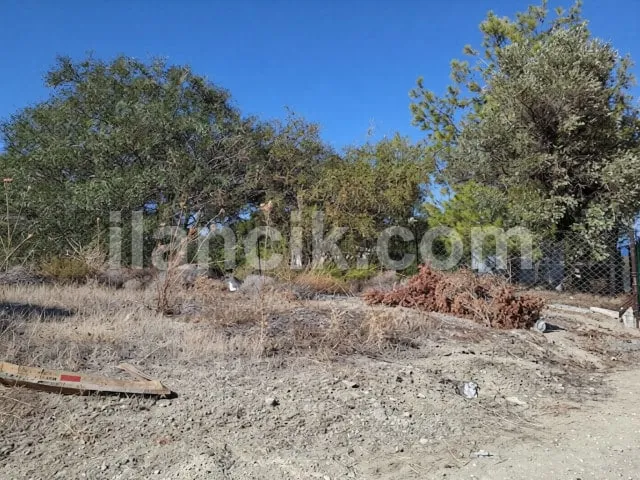 Zeytinlik'te Satılık 611 m² Konut İmarlı Arsa - Girne - 3