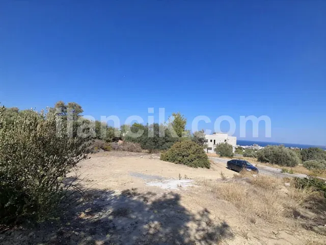 Zeytinlik'te Satılık 611 m² Konut İmarlı Arsa - Girne - 4