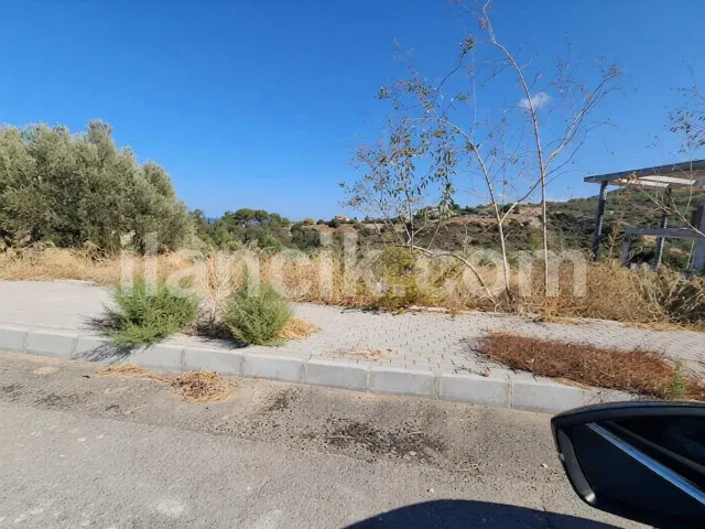 Zeytinlik'te Satılık 611 m² Konut İmarlı Arsa - Girne - 5