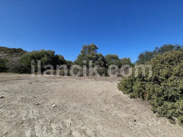 Zeytinlik'te Satılık 611 m² Konut İmarlı Arsa - Girne - 6