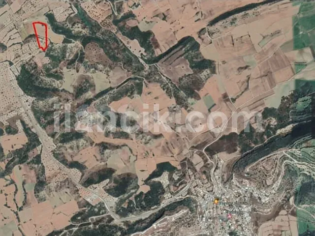 Dipkarpaz'da Satılık 13 Dönüm Zeytinlikli Konut İmarlı Arsa - 4