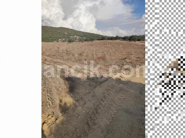 Dipkarpaz'da Satılık 13 Dönüm Zeytinlikli Konut İmarlı Arsa - 9