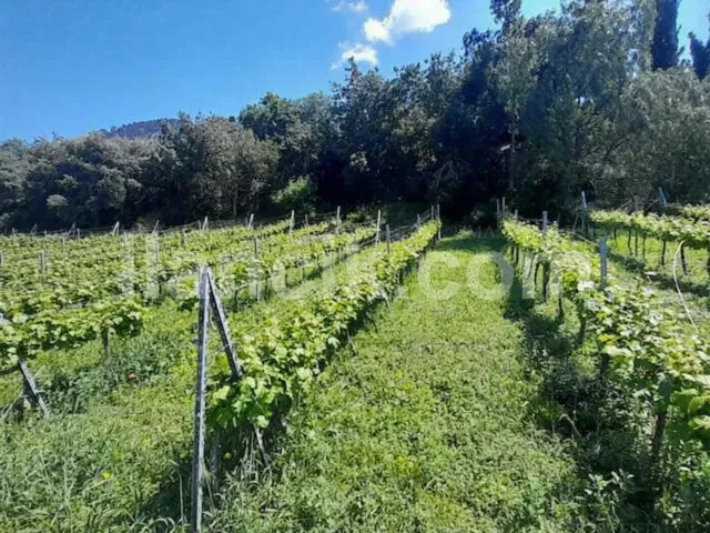 Satılık 2+1 Daire, Ilgaz Girne - Deniz ve Doğa Manzaralı - 3