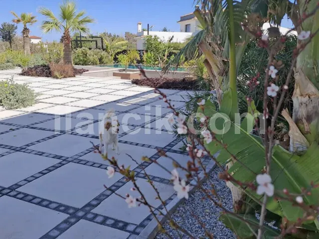 Satılık 1+1 Daire, Teraslı ve Işıklı - Lapta, Girne - 7