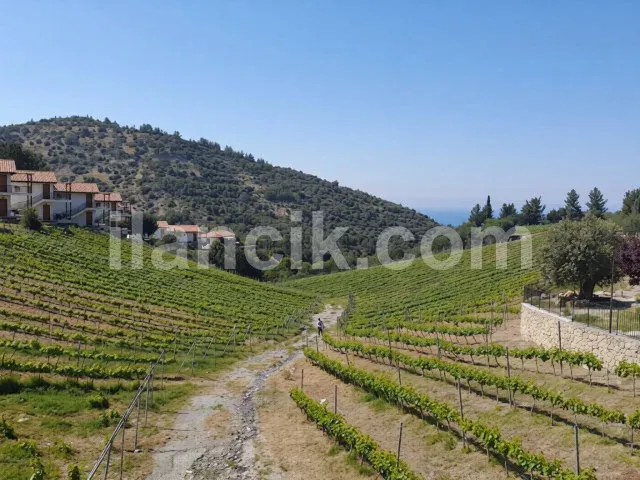 Satılık 2+1 Daire, Ilgaz Girne - Deniz ve Doğa Manzaralı - 12