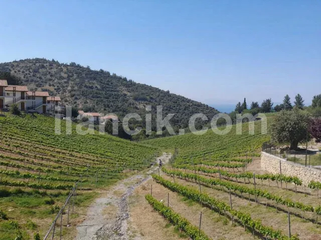 Satılık 2+1 Daire, Ilgaz Girne - Deniz ve Doğa Manzaralı - 12
