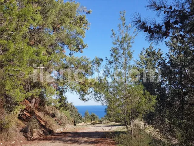 Alsancak'ta Satılık Konut İmarlı Arsa - Deniz ve Dağ Manzaralı - 3