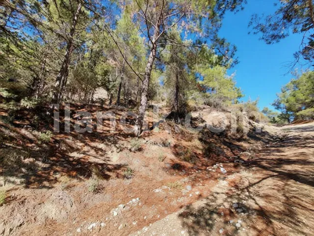 Alsancak'ta Satılık Konut İmarlı Arsa - Deniz ve Dağ Manzaralı - 7
