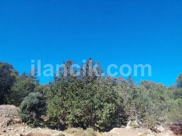Alsancak'ta Satılık Konut İmarlı Arsa - Deniz ve Dağ Manzaralı - 8