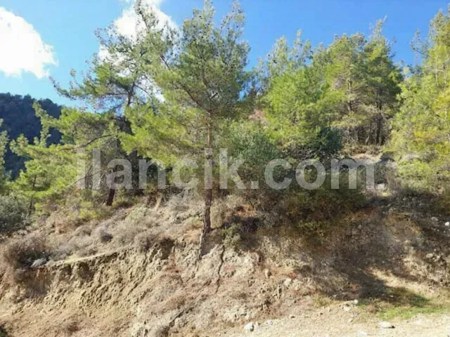 Alsancak'ta Satılık Konut İmarlı Arsa - Deniz ve Dağ Manzaralı - 10