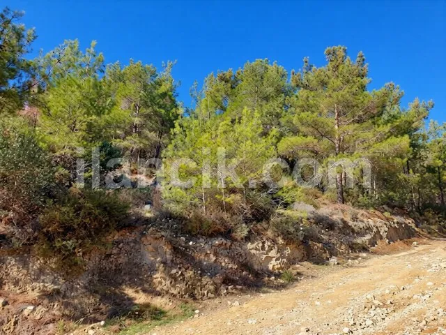 Alsancak'ta Satılık Konut İmarlı Arsa - Deniz ve Dağ Manzaralı - 12