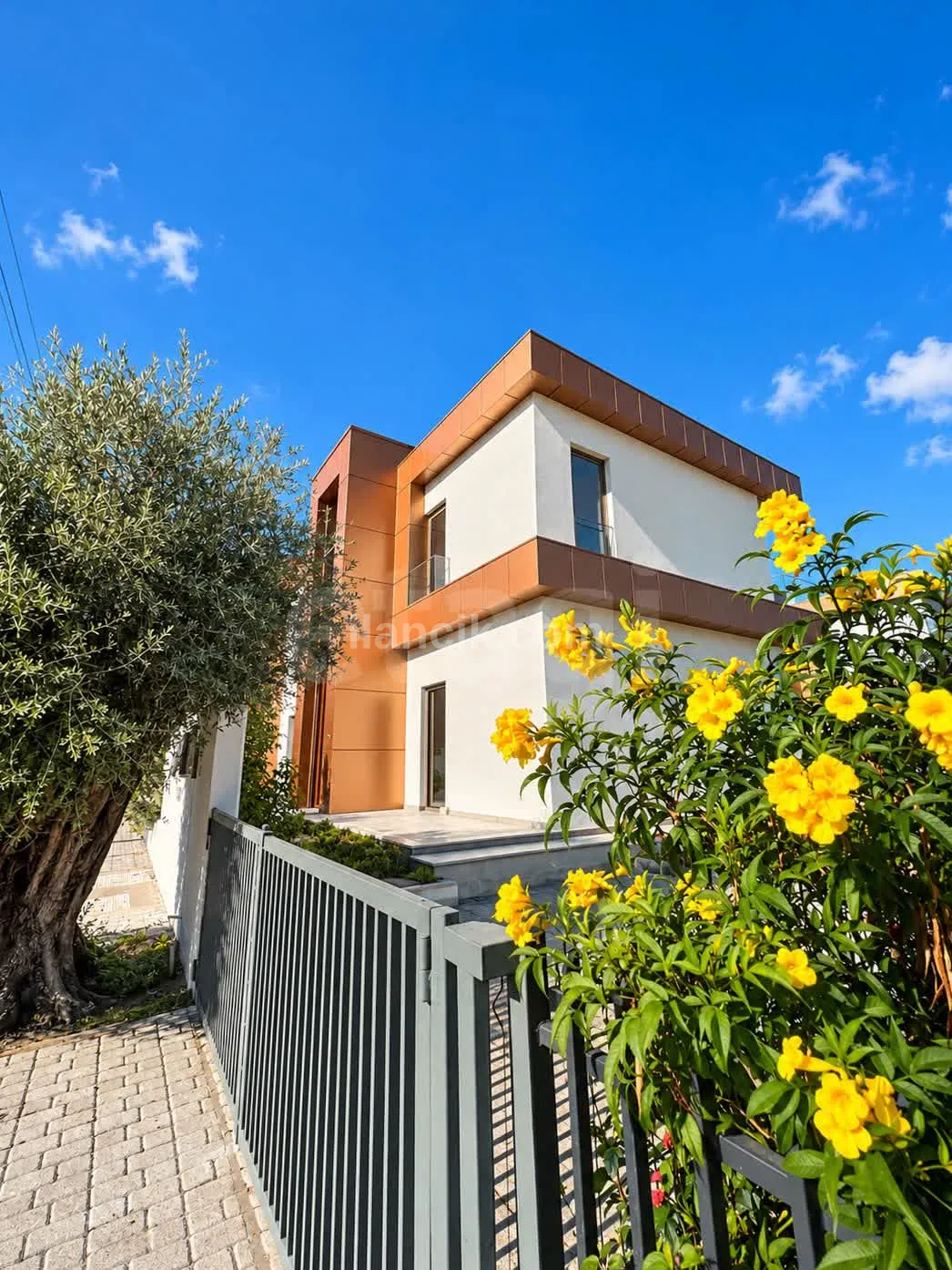 3+1 Villa, Ozanköy - 6