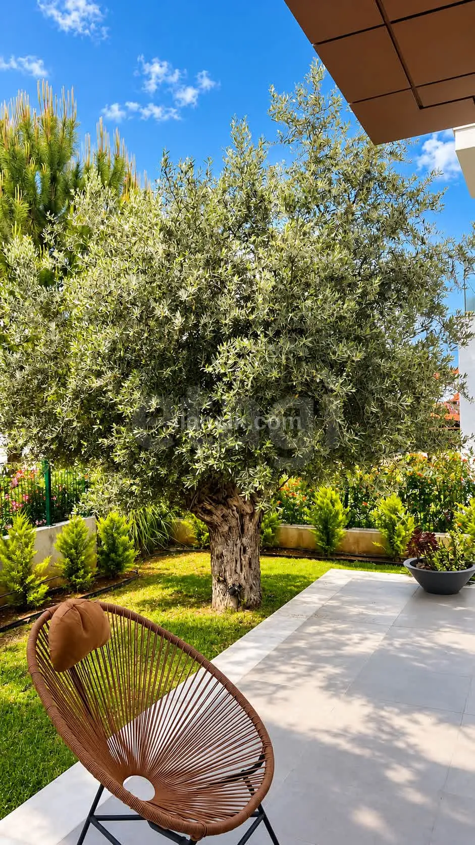 3+1 Villa, Ozanköy - 17