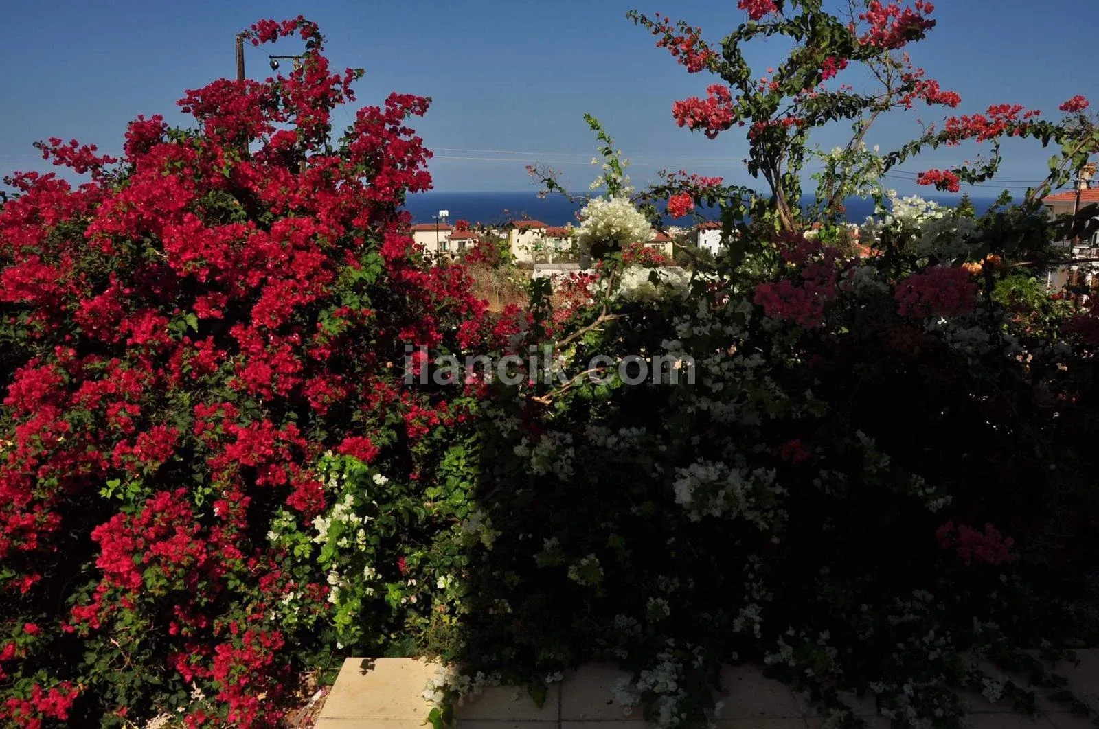 Girne Karşıyaka bölgesinde 3+1 günlük havuzlu kiralık villa - 4