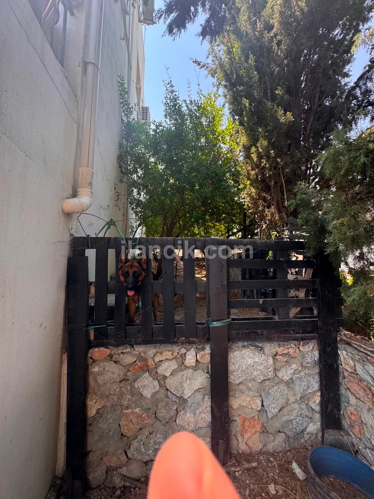 Sahibinden Çatalköy'de daire fiyatına ikiz villa - 21